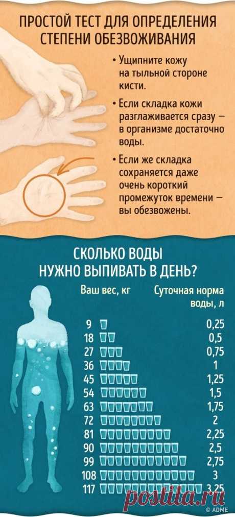 Более половины населения нашей планеты страдает от обезвоживания, даже не осознавая, что недостаток воды в организме может привести к крайне серьезным последствиям для здоровья. AdMe.ru подготовил инфографику, которая поможет понять, достаточное ли количество воды вы употребляете и как влияет обезвоживание на ваш организм.