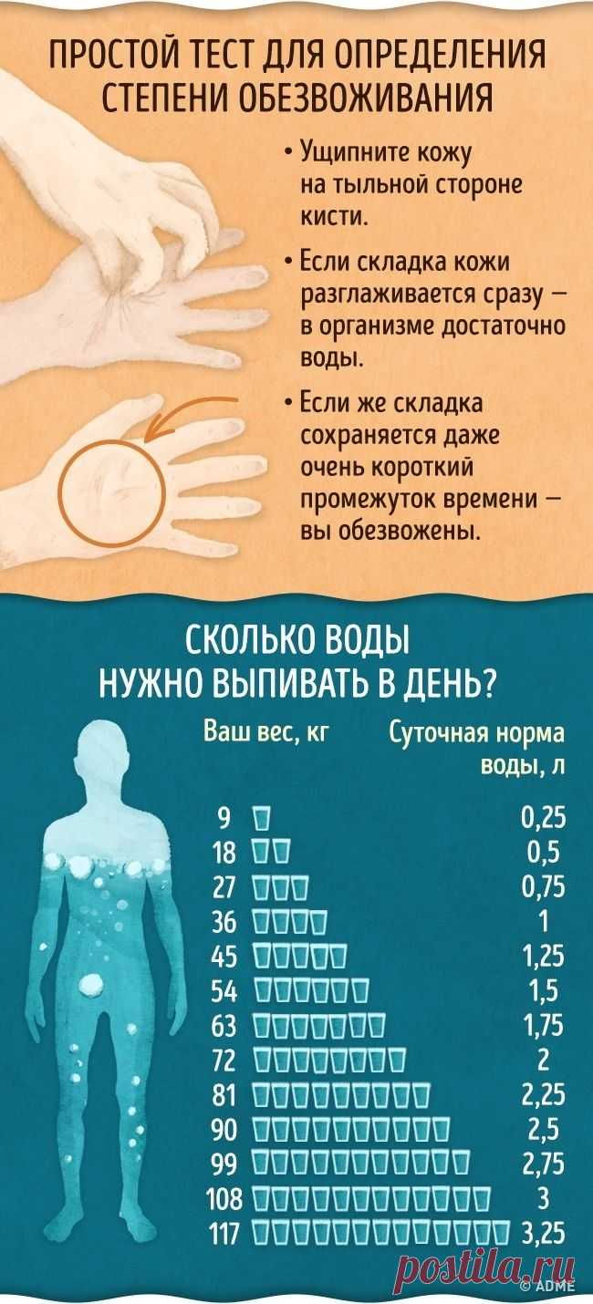 Более половины населения нашей планеты страдает от обезвоживания, даже не осознавая, что недостаток воды в организме может привести к крайне серьезным последствиям для здоровья. AdMe.ru подготовил инфографику, которая поможет понять, достаточное ли количество воды вы употребляете и как влияет обезвоживание на ваш организм.