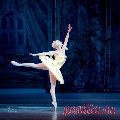 Яндекс Картинки: поиск похожих изображений