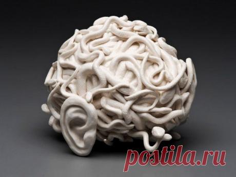 Отрава, которая живет в Вашем мозге 3 года