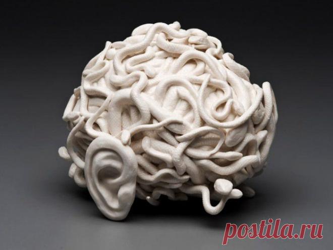 Отрава, которая живет в Вашем мозге 3 года