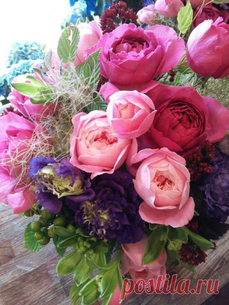 флористика