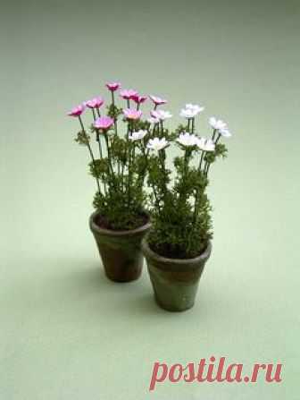 The Miniature Garden: Garden Plants