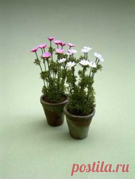 The Miniature Garden: Garden Plants