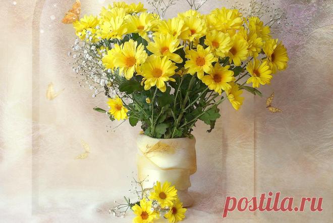 Интересные новости