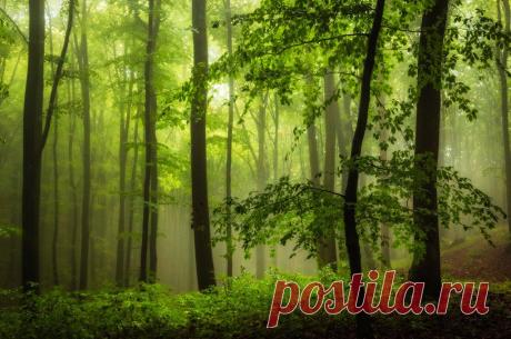 Мой Мир@Mail.Ru