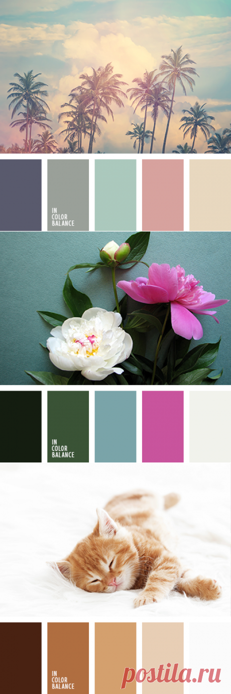 IN COLOR BALANCE | Подбор цвета