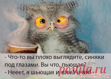 24187129_85923.jpg (720×513)