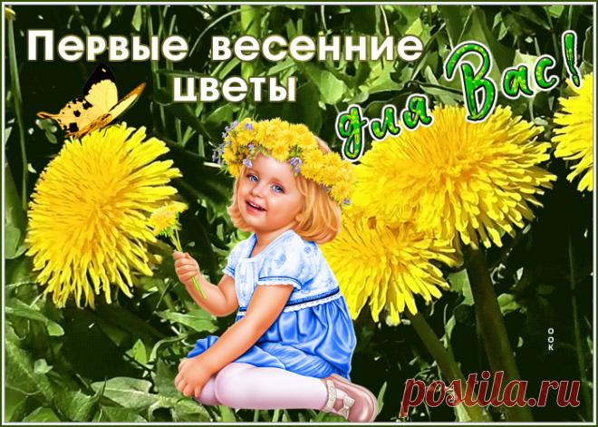 Красивая открытка с цветами