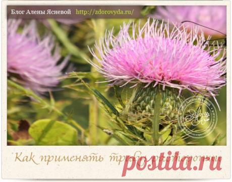 Основные показания к применению расторопши пятнистой