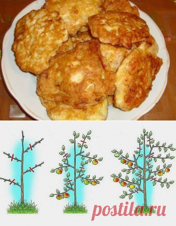 Одноклассники