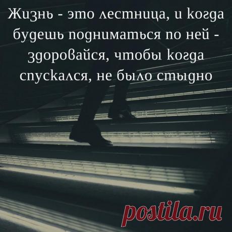 Без комментария