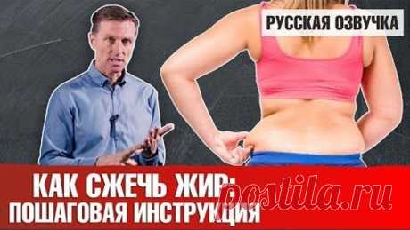 КАК СЖЕЧЬ ЖИР: пошаговая инструкция (русская озвучка)