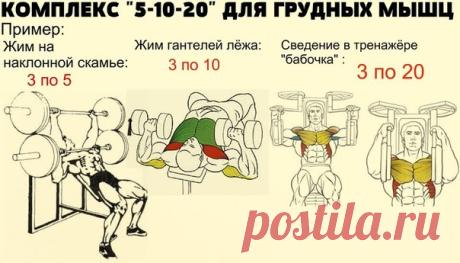 Комплекс 5-10-20 для грудных мышц / Спорт Сильных!