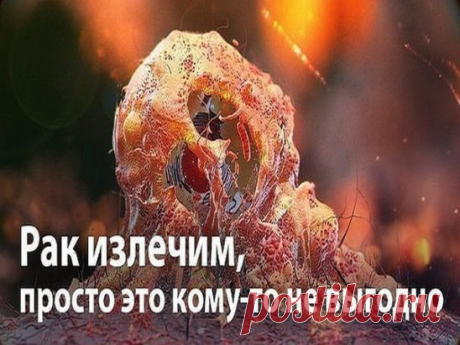 РАК – ЭТО ГРИБКОВОЕ ЗАБОЛЕВАНИЕ… И ОНО ИЗЛЕЧИМО 
Рак – излечимая грибковая инфекция. Очень похоже на то, что медицинская мафия использует слово «рак», как обманку для последующего массового убийства людей с помощью радио- и химиотерапии. Процедуры эти очень дорогие, но работают хорошо – убивают абсолютно всех. 
Предлагаем вашему вниманию перевод статьи Дэвида Айка, оригинал которой на английском языке вы можете легко найти в интернете. 
Цифры, конечно, впечатляющие. Восемь миллионов людей уми