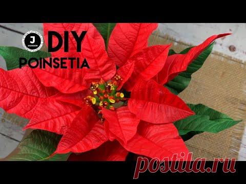 DIY. Poinsetia. How to make poinsetia. МК Пуансетия из фома. Простой способ создания серединки.