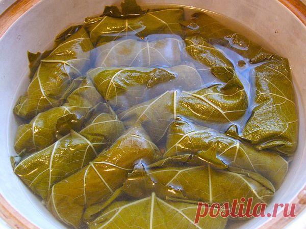 Долма с листьев винограда - Долма готовится летом, когда появляются листочки на винограде. Блюдо очень полезное, приготовление его схоже с голубцами.