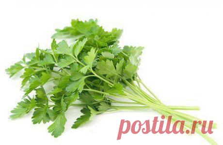 Нет болезням мочевыводящих путей!