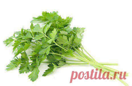 Нет болезням мочевыводящих путей!