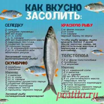 Пин на доске рецепты