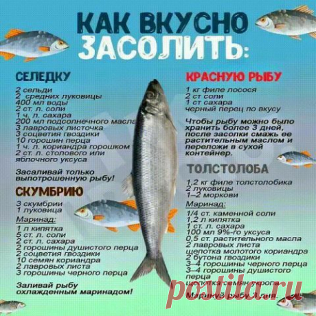 Пин на доске рецепты