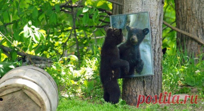 Мой Мир@Mail.Ru