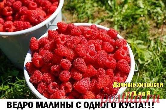 (47) Одноклассники