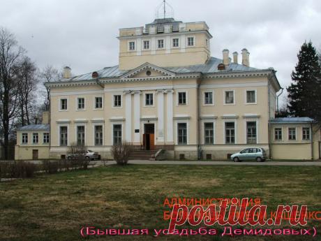 Произведение «НЕ ДАВАЙТЕ ЕМУ НОЖИЧЕК, ОН ИМ СЕБЯ И ПЫРНУТЬ МОЖЕТ» автора Алик Данилов - Литературный сайт Fabulae