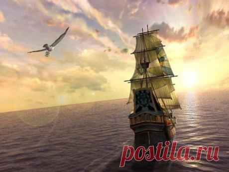 У вас есть паруса, а вы вцепились в якорь.