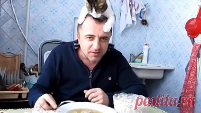 Кот зарабатывает кусок мяса