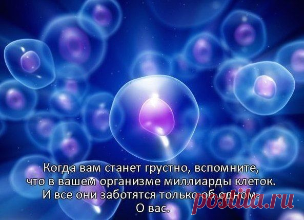 Вита Жан