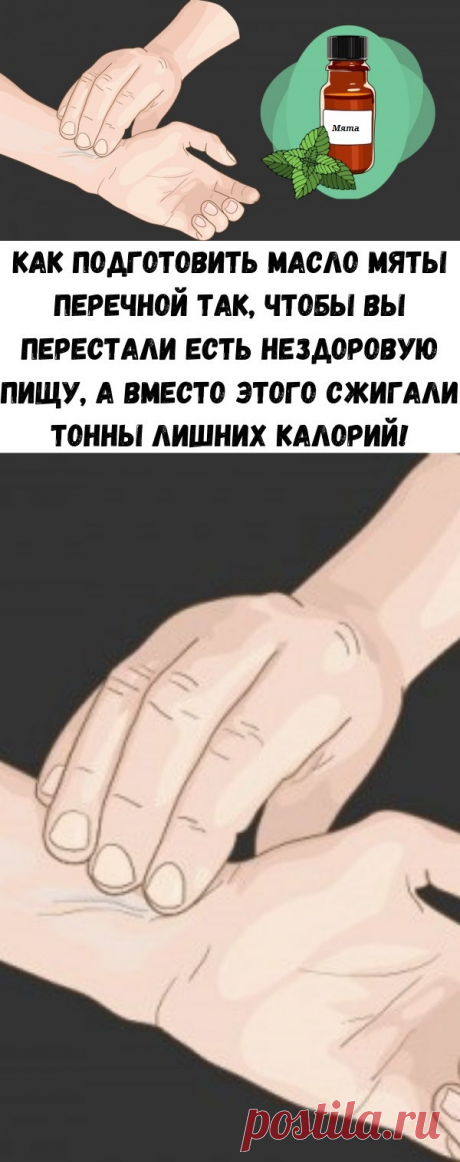 Как подготовить масло мяты перечной так, чтобы вы перестали есть нездоровую пищу, а вместо этого сжигали тонны лишних калорий! - Счастливые заметки