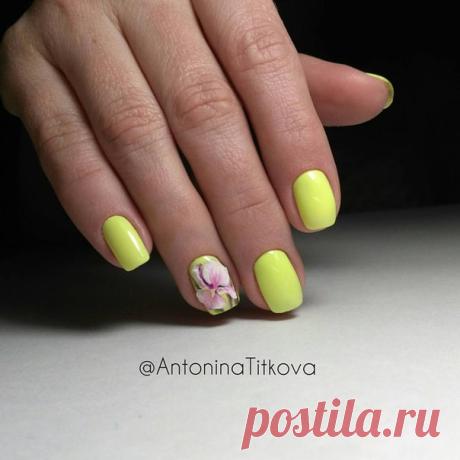 Антонина Титкова