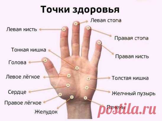 Точки здоровья: помассируйте, если что-то болит.