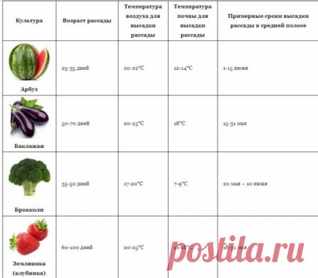 Агро-прогноз или как определить температуру почвы для посадок