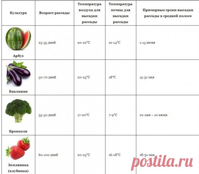 Агро-прогноз или как определить температуру почвы для посадок
