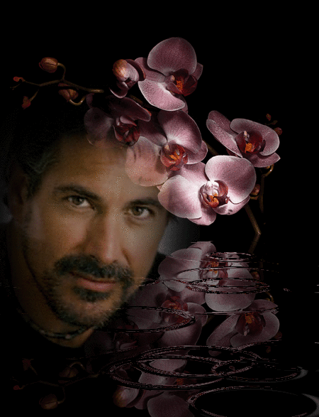 Тебя вновь видеть я желаю...