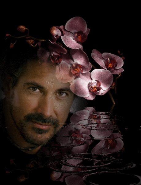 Тебя вновь видеть я желаю...