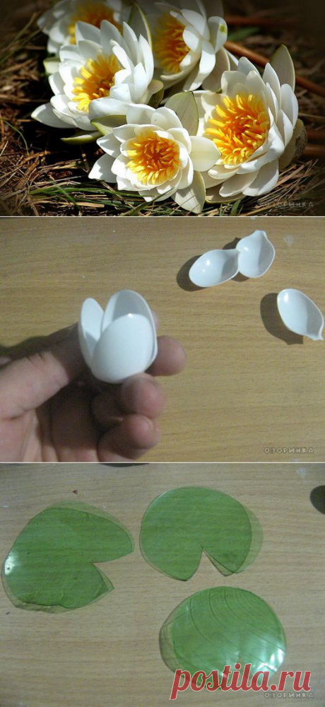 Мастерим кувшинки для садового пруда