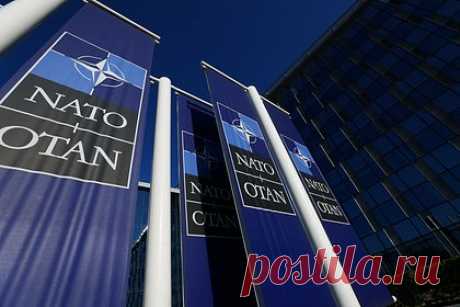 Отказ Запада от твердой позиции по членству Украины в НАТО объяснили