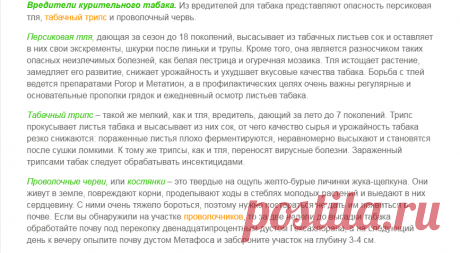 Вредители Табака