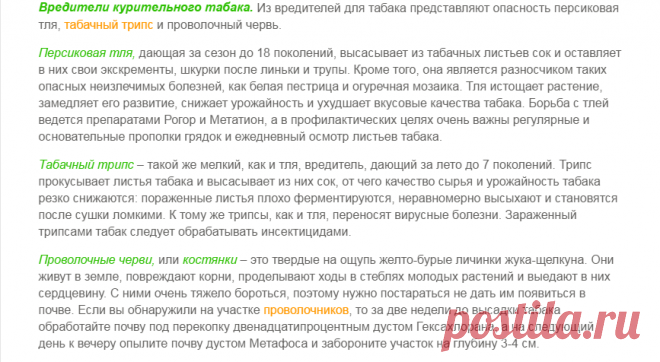 Вредители Табака