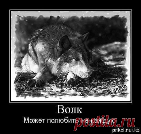 Одноклассники
