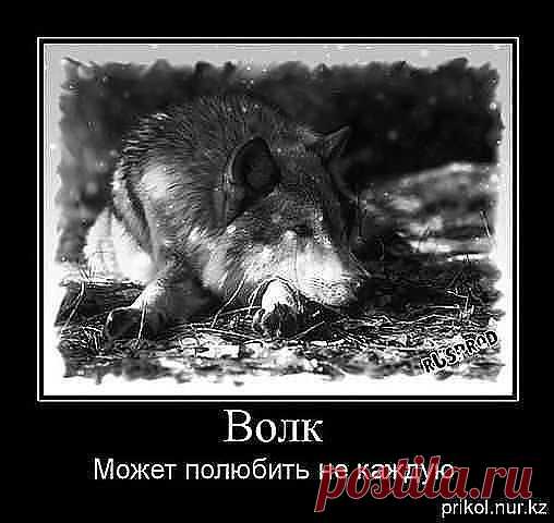 Одноклассники