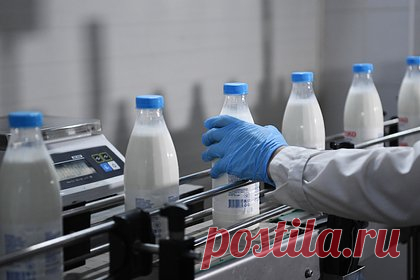 Россиян предупредили о подорожании молока. К осени 2024 года цены на молоко и молочную продукцию в России могут вырасти на семь-девять процентов, предупредила доцент кафедры теории и социально-экономической статистики РЭУ имени Плеханова Ольга Лебединская. Она отметила, что кроме повышения себестоимости производства, на цены повлияет традиционная сезонность.