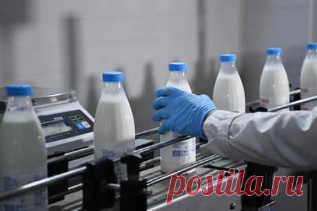 Россиян предупредили о подорожании молока. К осени 2024 года цены на молоко и молочную продукцию в России могут вырасти на семь-девять процентов, предупредила доцент кафедры теории и социально-экономической статистики РЭУ имени Плеханова Ольга Лебединская. Она отметила, что кроме повышения себестоимости производства, на цены повлияет традиционная сезонность.
