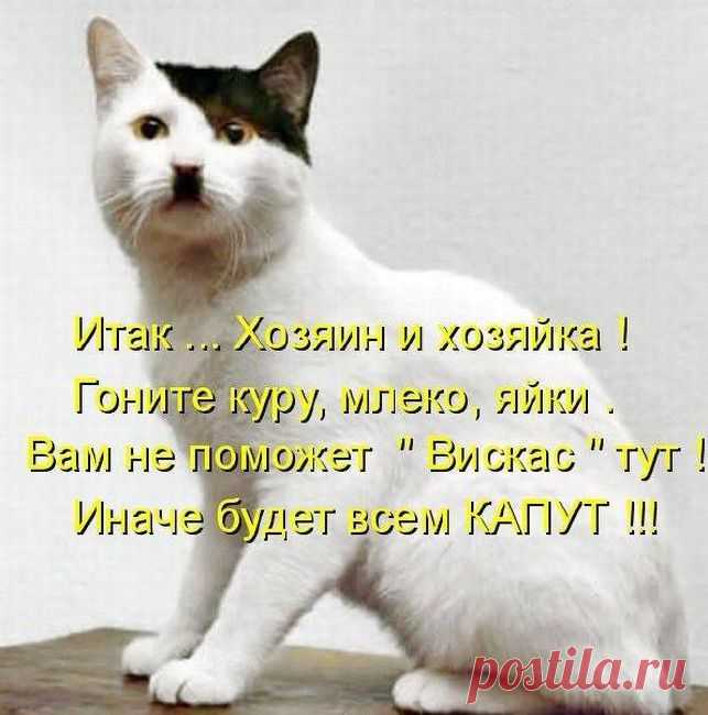 вымогатель