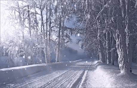 Мой Мир@Mail.Ru