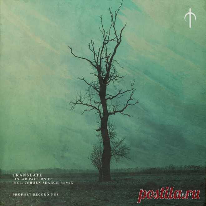 Translate - Electrobuzz