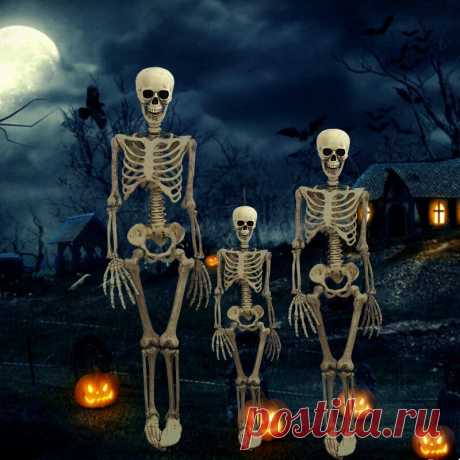 38cm/90cm halloween prop skeleton skeleton skull hand lifelike human body poseable anatomy model party festival decoration Sale - Banggood.com